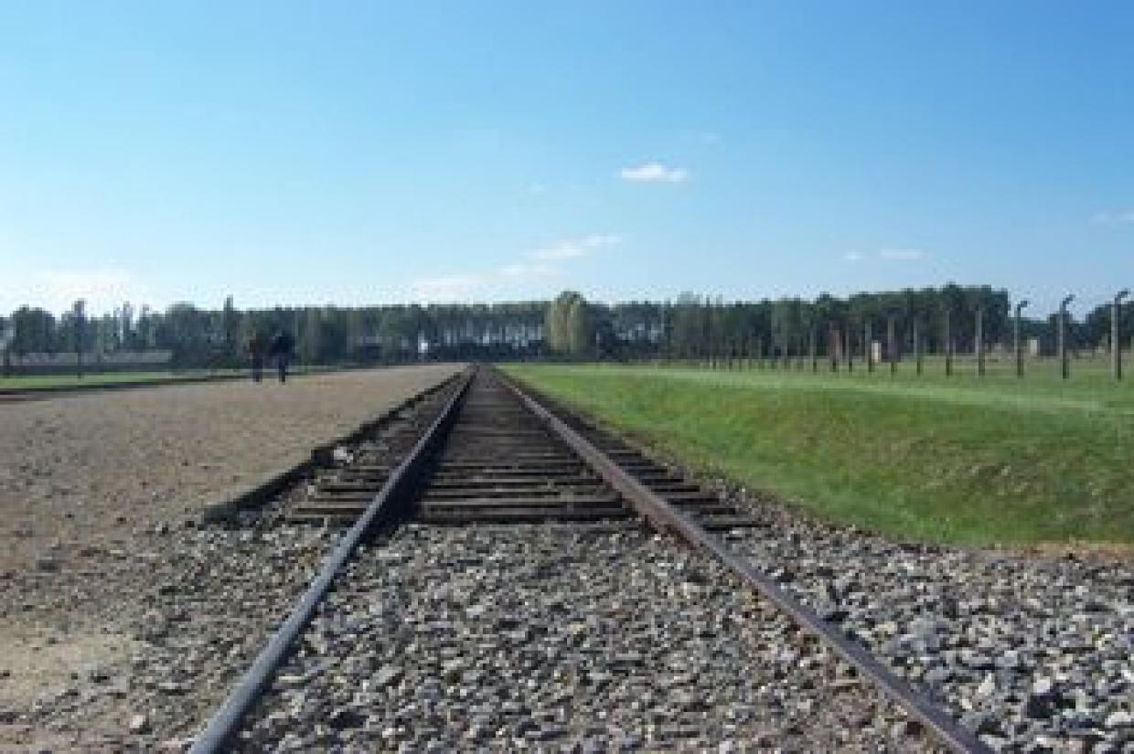 Bedrückende Weite in Auschwitz